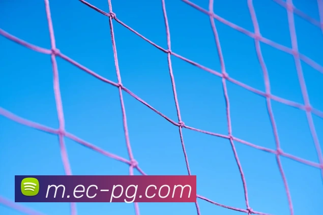 pg模拟器平台生态图