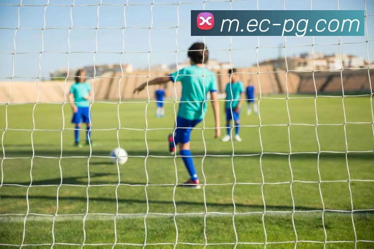 数据防护可视化